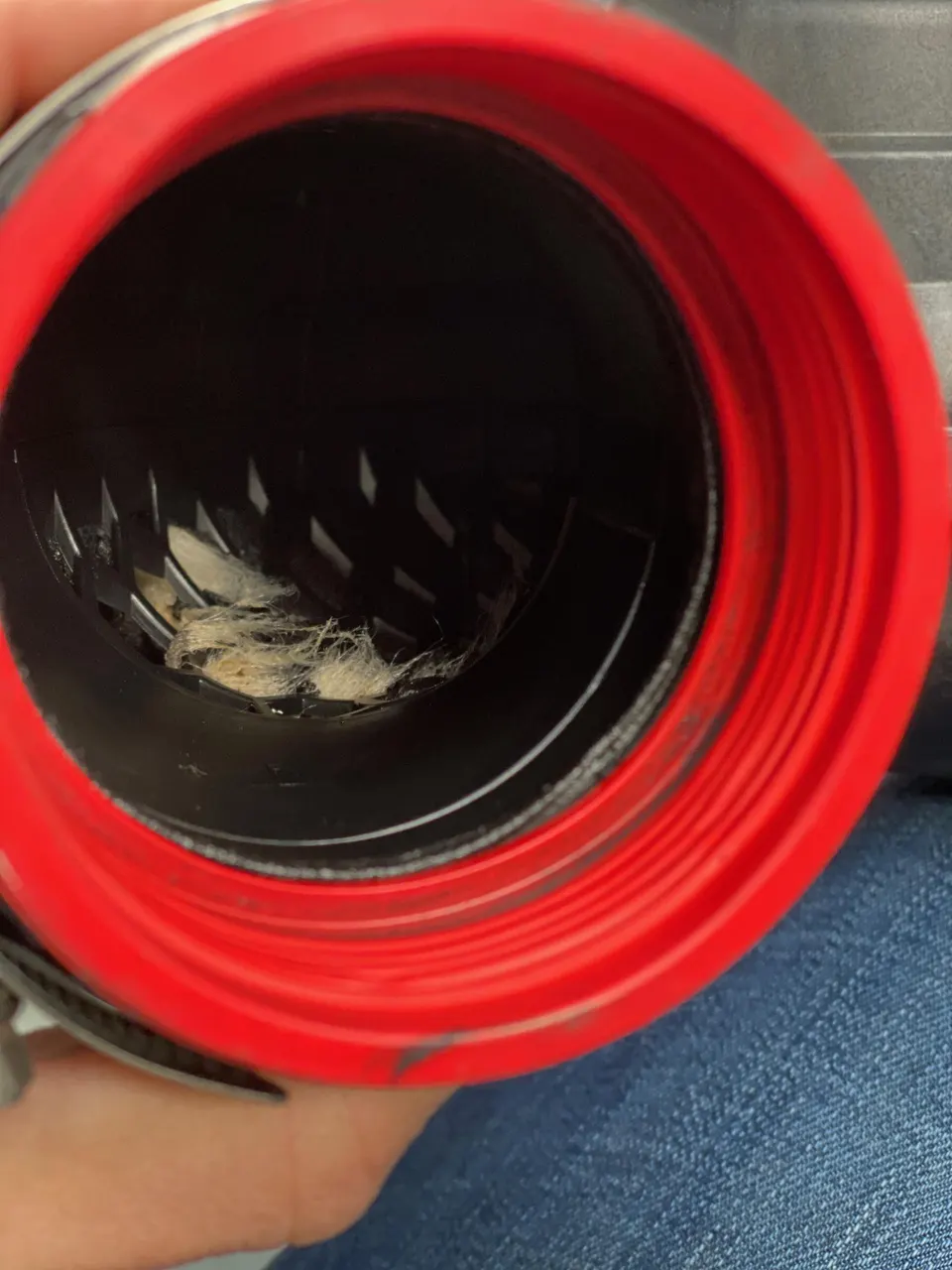 Close-up of a vehicle's air intake pipe with a red collar, showing accumulated debris inside.