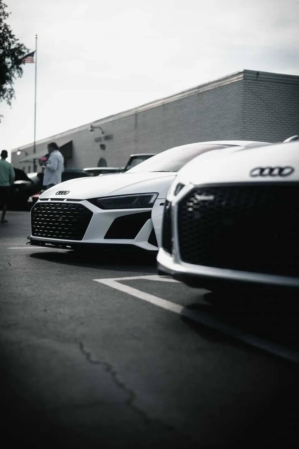 Two white Audi R8 supercars parked side-by-side at an outdoor car event, showcasing their aggressive front grilles and sleek design.