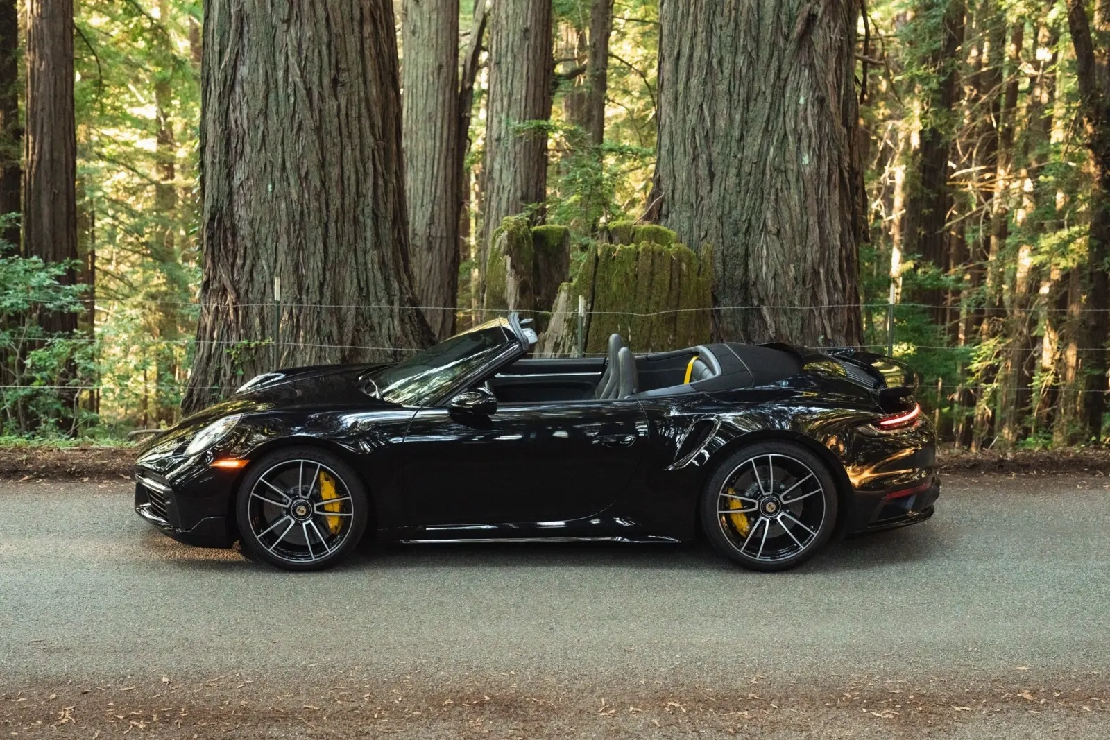 A black Porsche 911 convertible parked on a road in a redwood forest, showcasing its sleek design and yellow brake calipers.