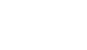 Infiniti logo