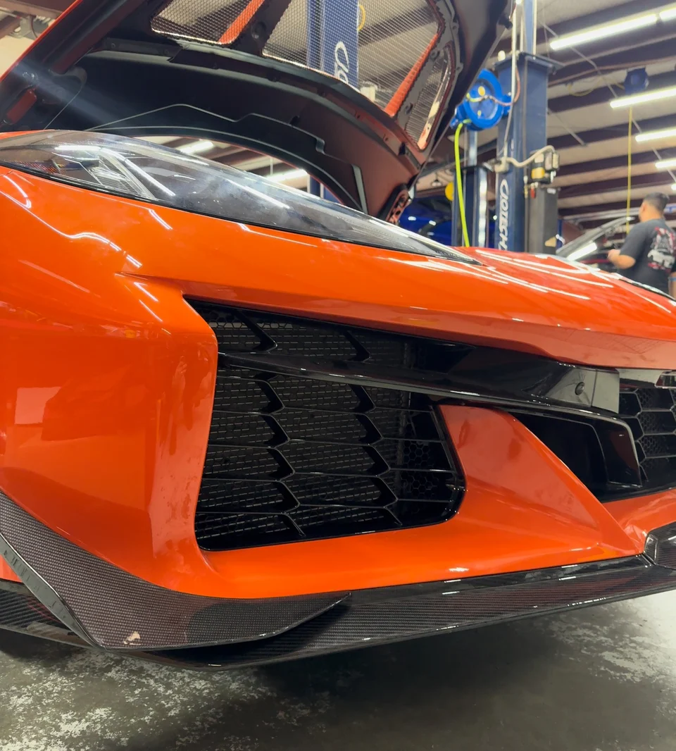 Front grill guards and plate bracket delete