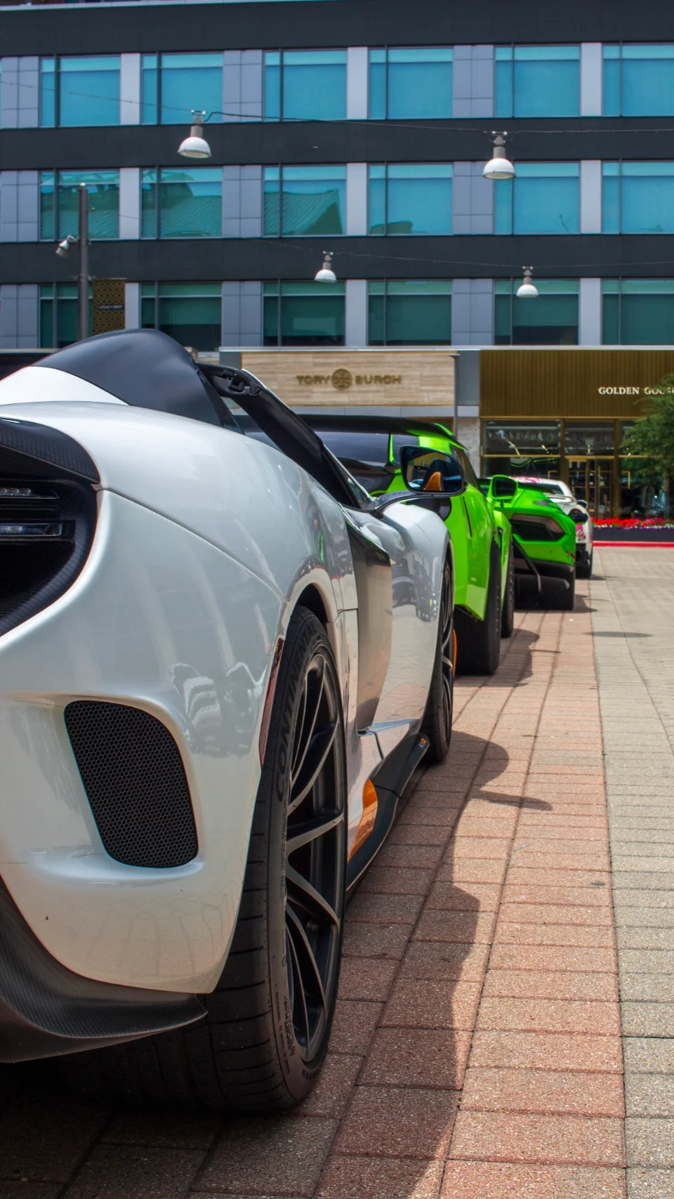 A white McLaren and several green Lamborghinis parked in a line on a city street in front of modern buildings.