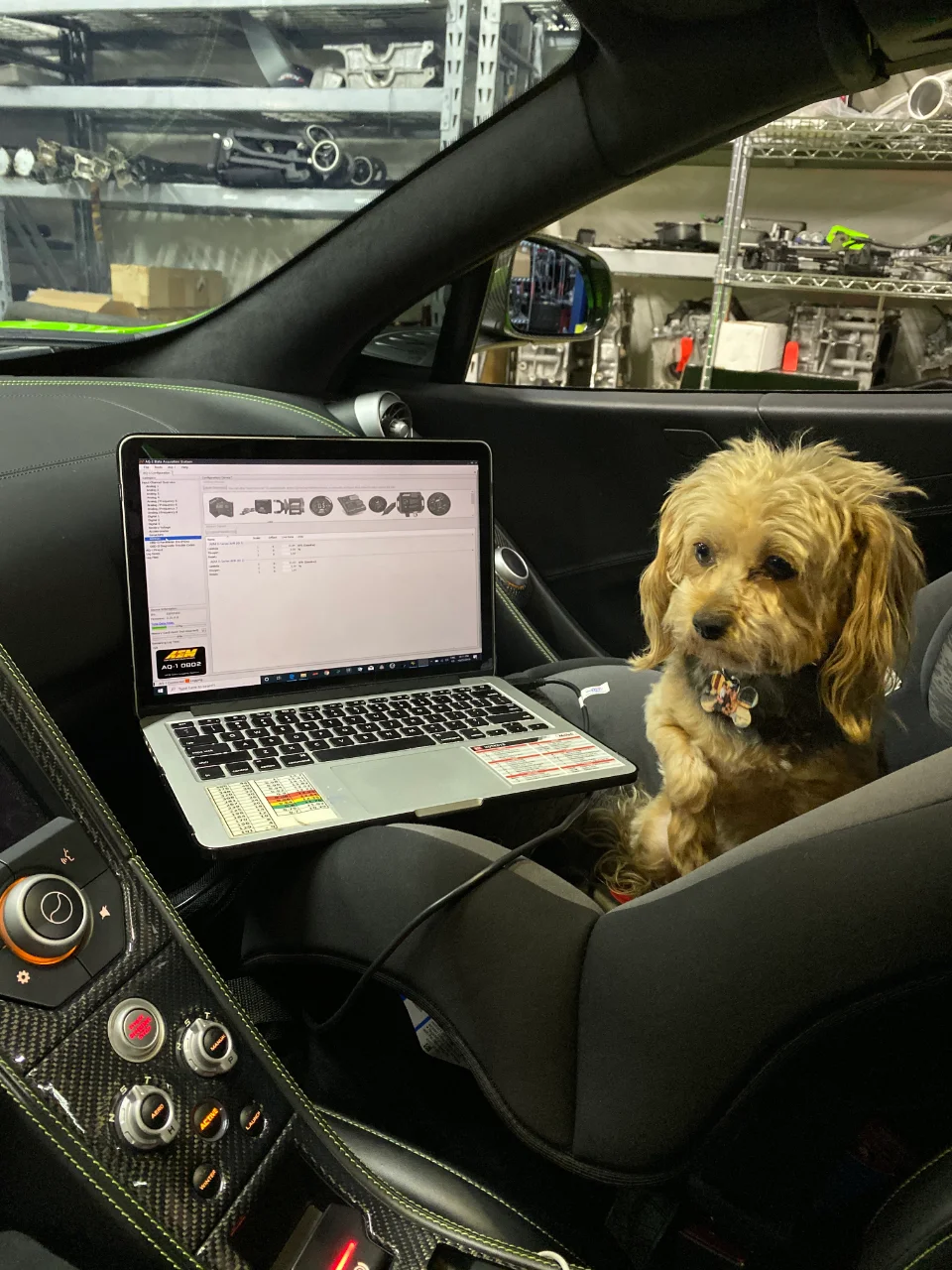 A small dog sits in the passenger seat of a McLaren while a laptop with AEM tuning software is open on the seat, inside a shop.